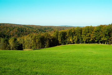 Wald und Wiese im Herbst