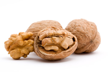 walnut