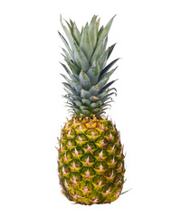 Fototapeta premium Pineapple