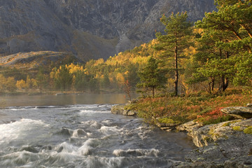 River at fall