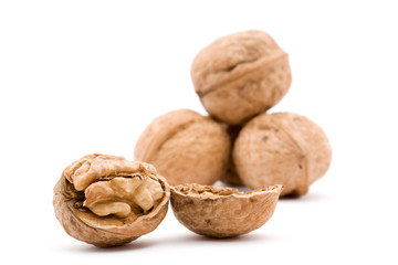 walnut