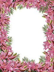 Framework from flowers of a natural pink  lily