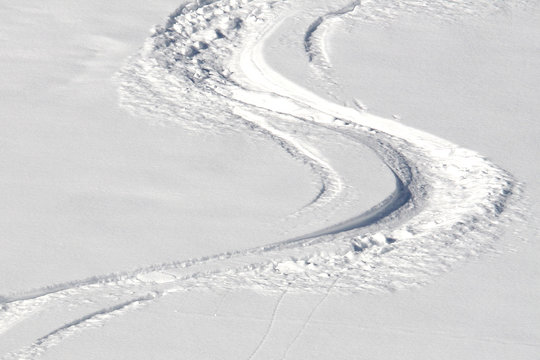 Skispuren im Pulverschnee