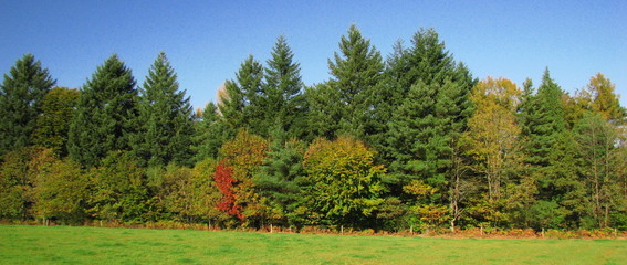 Obraz premium Château de Nieul, Limoges, Limousin