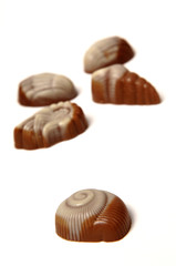 sea shell chocolate