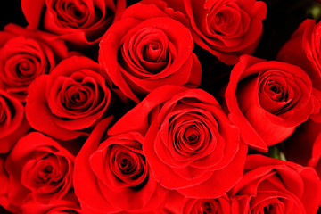 decorative beautiful bouquet of red fresh roses