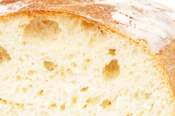 macro shot of bread