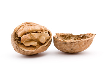 walnut