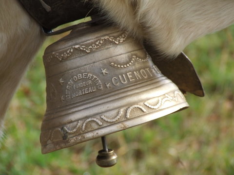cloche vache comtoise jurassienne