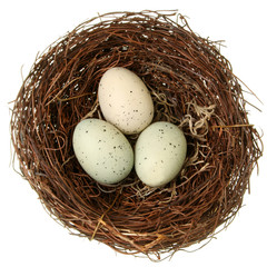 Naklejka na ściany i meble Bird nest with eggs isolated on white
