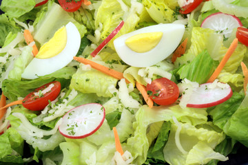 fresh healthy salad
