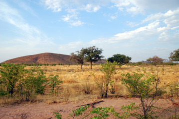 Fototapeta na wymiar Namibia - Savana