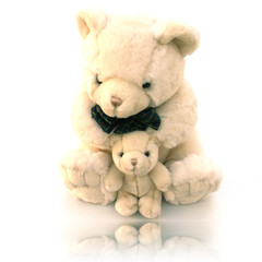 ourson et sa maman
