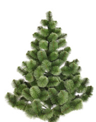 Green christmas pine without decoration. Isolated.