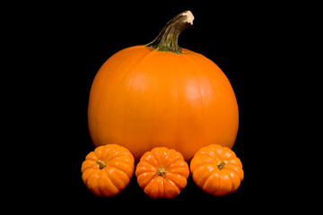 1 large round orange pumpkin with 3 small mini pumpkins