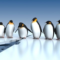 Fototapeta premium penguins