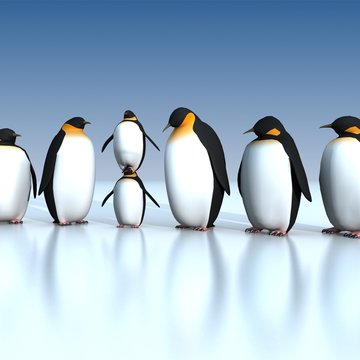Fun penguins
