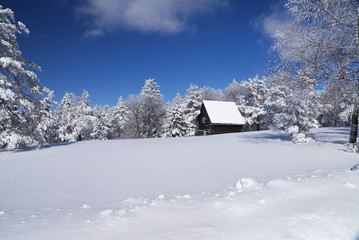 Fototapeta na wymiar Górski dom w śniegu