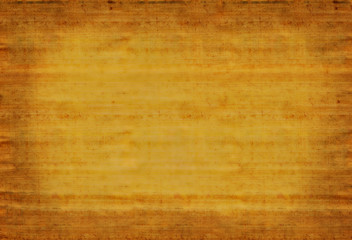 Obraz premium Papyrus