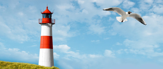 Leuchtturm Motiv an der Ostseeküste mit Möwe