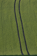 Fahrrinne in Getreidefeld