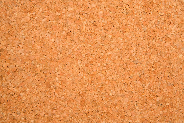 Empty cork board