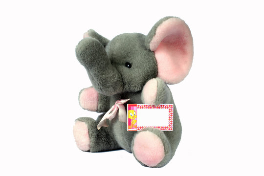 elefante
