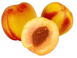 Fruit