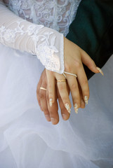 Hands of the groom and the bride