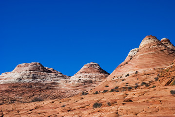 Fototapeta premium Coyote Butte, Paria Canyon,Vermilion Cliffs National Monument