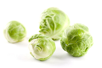 Fototapeta premium Brussels Sprouts