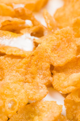 macro image of cereal with milk