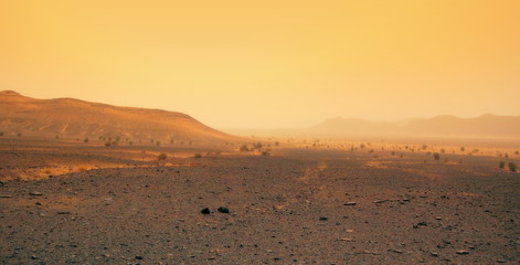 Fototapeta na wymiar Vent de sable au Sahara
