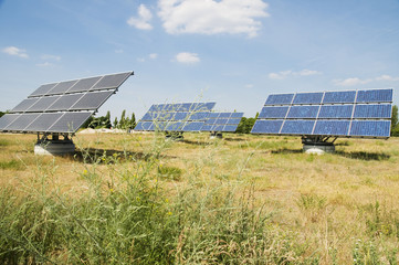 Field with solar plant
