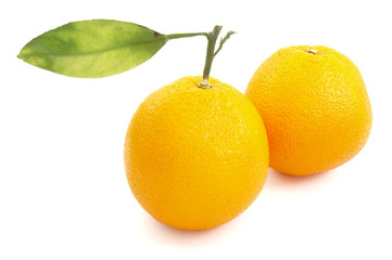 oranges with leaf 1