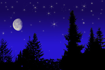 Naklejka premium Winterhimmel