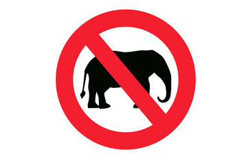 no elephants