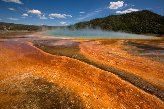 Grand Prismatic Spring
