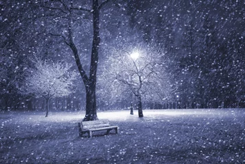 Photo sur Plexiglas Hiver Winter park at night