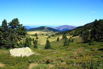 Fototapeta na wymiar Massif de Madres, Aude Pireneje