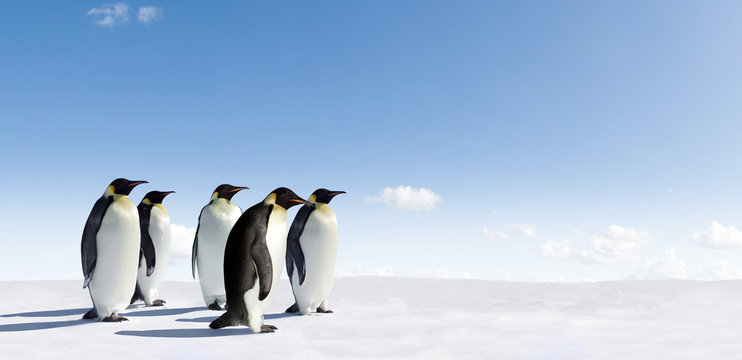 Five Emperors