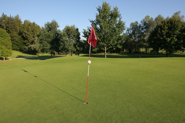 Obraz premium Golfgrün im Sommer