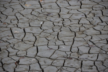 Dry Mud Texture