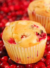 Cranberry Muffins