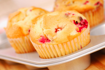 Cranberry muffins in muffin pan