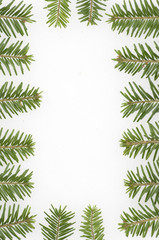 Fir frame with white background