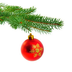 Obraz na płótnie Canvas Christmas ball on fir pine branch
