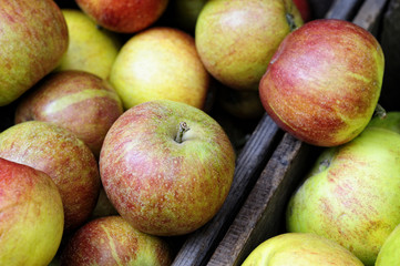 Organic Braeburn apples