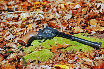 revolver laying in woods