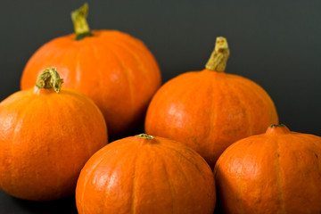 Kürbisse, pumpkins